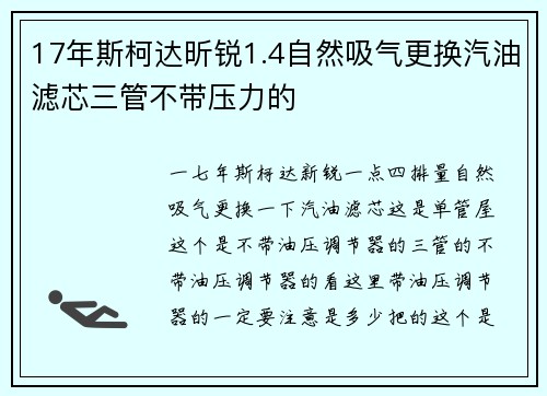 17年斯柯达昕锐1.4自然吸气更换汽油滤芯三管不带压力的