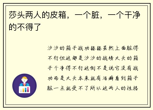 莎头两人的皮箱，一个脏，一个干净的不得了