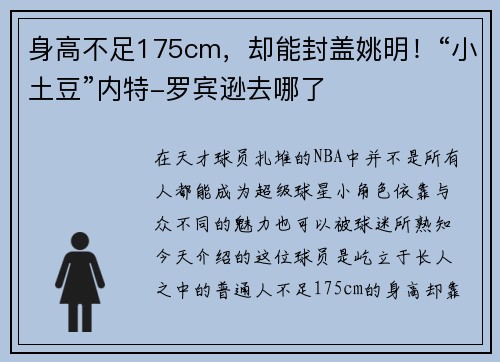 身高不足175cm，却能封盖姚明！“小土豆”内特-罗宾逊去哪了